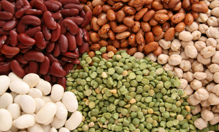 plant based protein beans