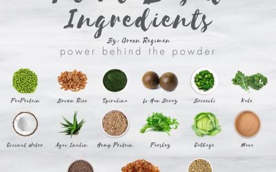 The Ingredients of the Best Protein Supplement