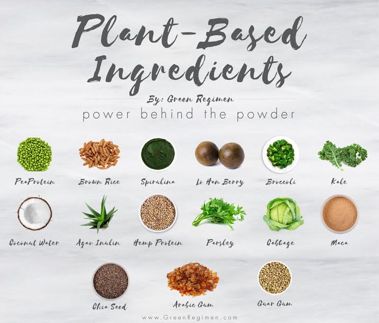 plant based protein powder