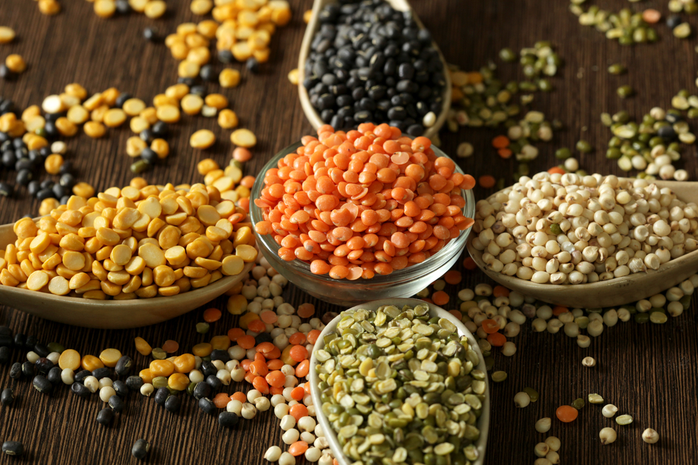Top Vegan Protein Sources When You’re on a Plant-based Diet