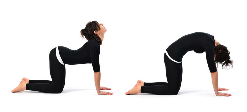 best yoga poses to relieve back pain