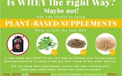 Guide To the Difference Between Plant-Based Protein Supplements and Whey Protein