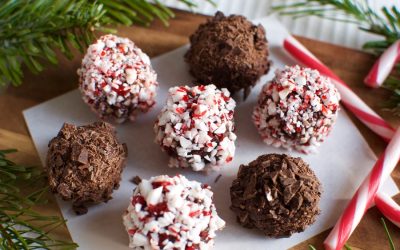 Elite Organic Choco-Fudge Peppermint Bites