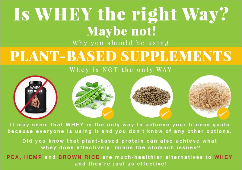 Guide To the Difference Between Plant-Based Protein Supplements and Whey Protein